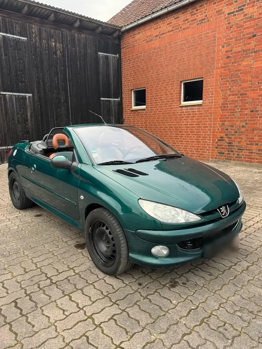 Używany Peugeot 206 110 KM (80 kW) 2006 Zielony Kabriolet