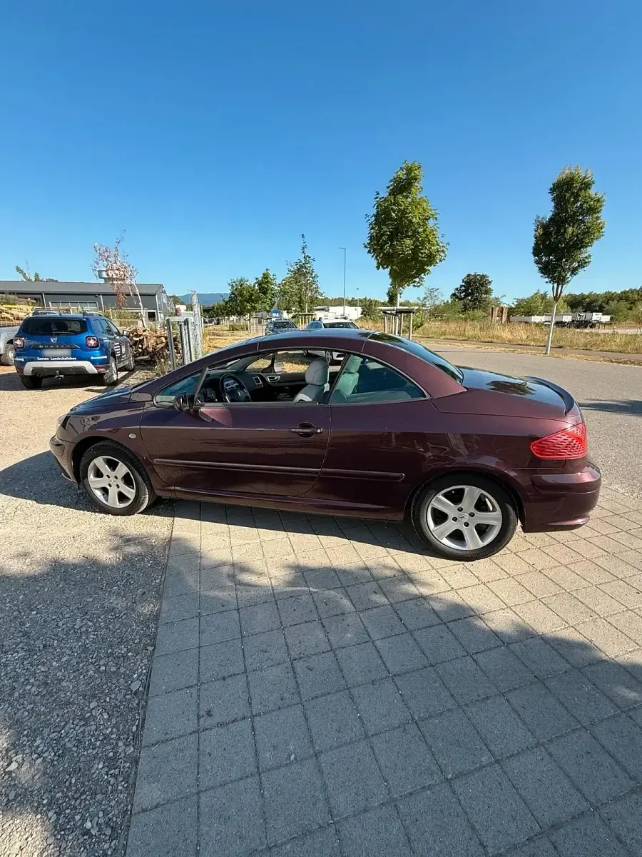 Gebraucht Peugeot 307 CC 136 PS (100 kW) 2004 Andere farben Cabrio