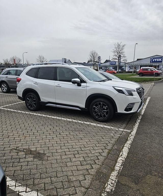 Gebraucht Subaru Forester Comfort 150 PS (110 kW) 2024 Weiß SUV