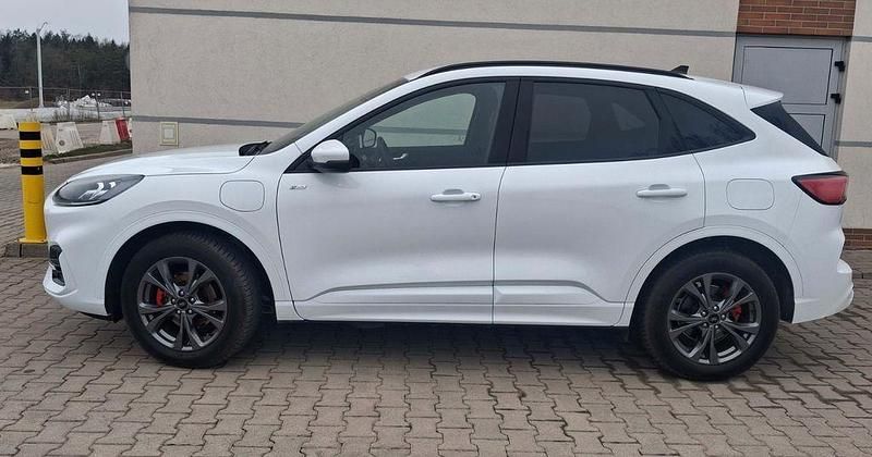 Gebraucht Ford Kuga ST-Line X 224 PS (164 kW) 2023 Weiß SUV