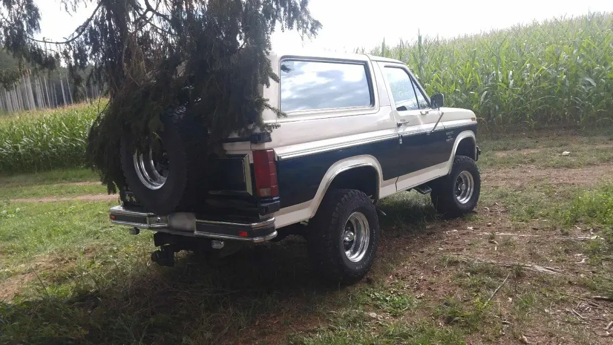 Gebraucht Ford Bronco 200 PS (147 kW) 1985 Andere farben SUV