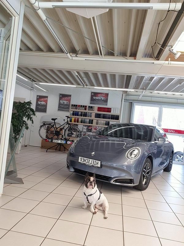 Grau Gebraucht 2024 Ora 07 Limousine | 32.900 € (Guter Preis) - Bild 1/4