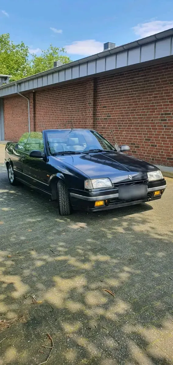 Second-hand Renault 19 1992 Negru Cabrio