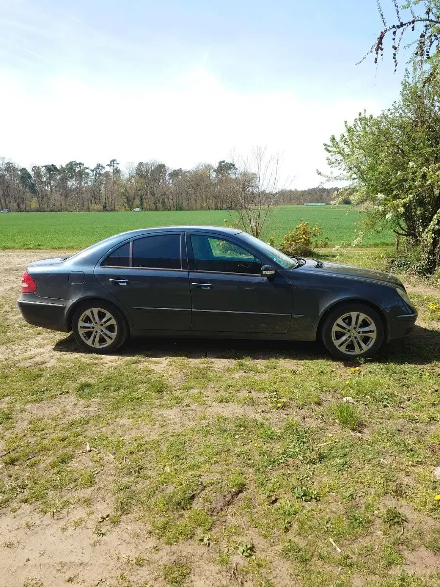 Gebraucht Mercedes E220 Classic 150 PS (110 kW) 2003 Blau Limousine