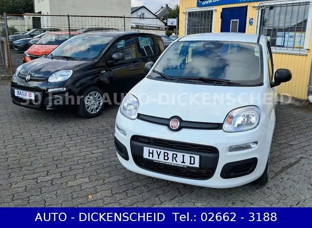 Neu Fiat Panda 69 PS (50 kW) 2025 Weiß Kleinwagen