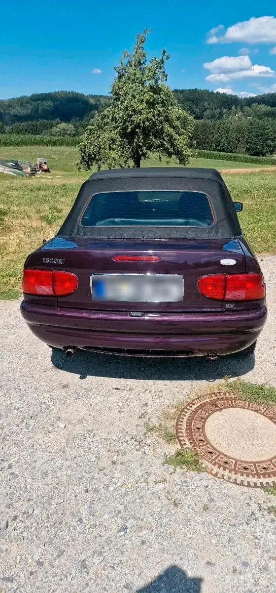 Gebraucht Ford Escort Cabriolet 90 PS (66 kW) 1998 Violet Cabrio
