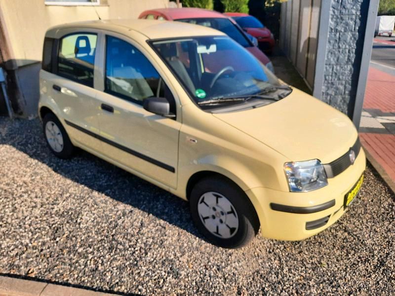 Gelb Gebraucht 2009 Fiat Panda Kleinwagen | 1.350 € (Guter Preis) - Bild 1/4