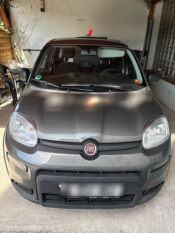 Grau Gebraucht 2024 Fiat Panda Kleinwagen | 11.990 € (Fairer Preis) - Bild 1/4