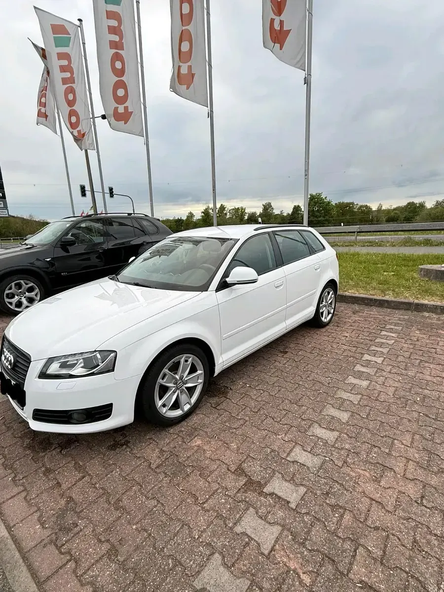 Gebraucht Audi A3 125 PS (91 kW) 2010 Weiß Kleinwagen