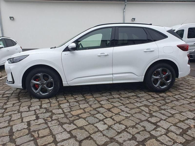 Gebraucht Ford Kuga ST-Line 185 PS (136 kW) 2024 Frozen weiss SUV