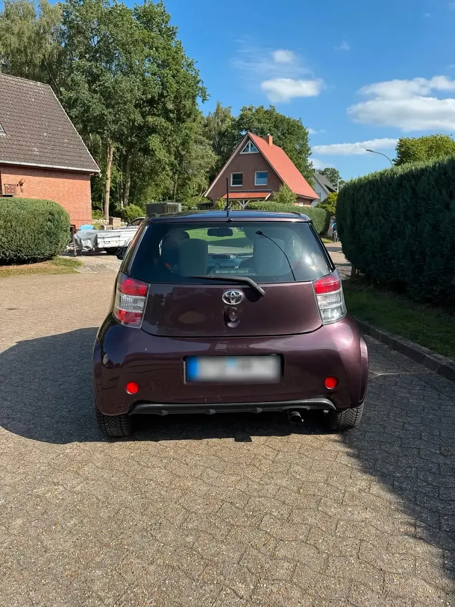 Gebraucht Toyota iQ 98 PS (72 kW) 2009 Violet Kleinwagen