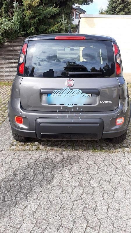 Grau Gebraucht 2021 Fiat Panda Kleinwagen | 10.200 € (Guter Preis) - Bild 1/4