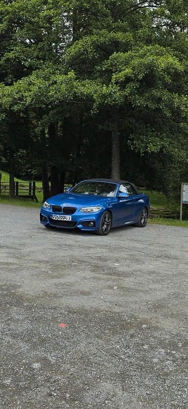 Blau Gebraucht 2016 BMW 220 M Sport Cabrio | 16.000 € (Superpreis) - Bild 1/1