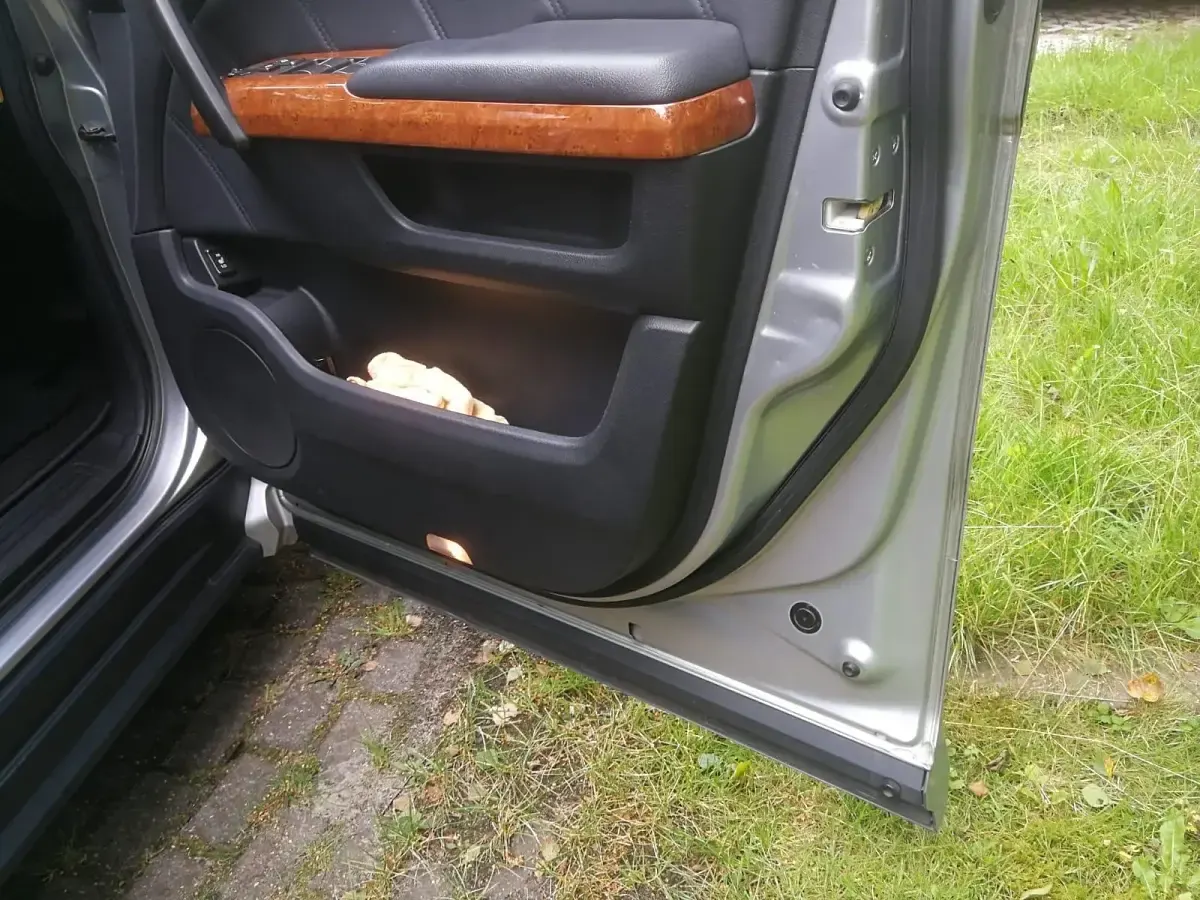 Gebraucht Honda Elysion Prestige 200 PS (147 kW) 2007 Grau Van / Kleinbus
