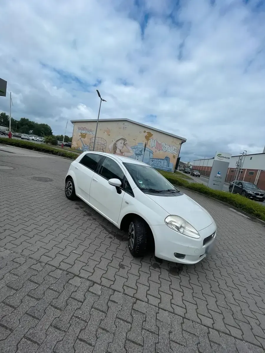 Gebraucht Fiat Punto 77 PS (56 kW) 2008 Weiß Kleinwagen