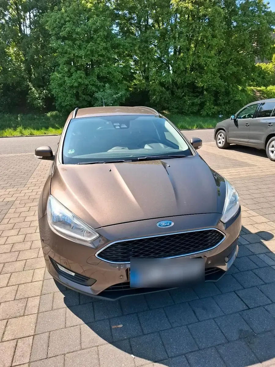 Usata Ford Focus 120 CV (88 kW) 2017 Marrone Station wagon