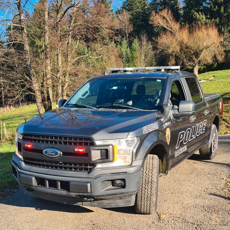 Grau Gebraucht 2020 Ford F-150 Abholung | 44.900 € (Etwas zu teuer) - Bild 1/4