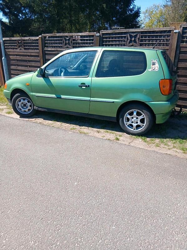Usata VW Polo 55 CV (40 kW) 1997 Verde Utilitaria