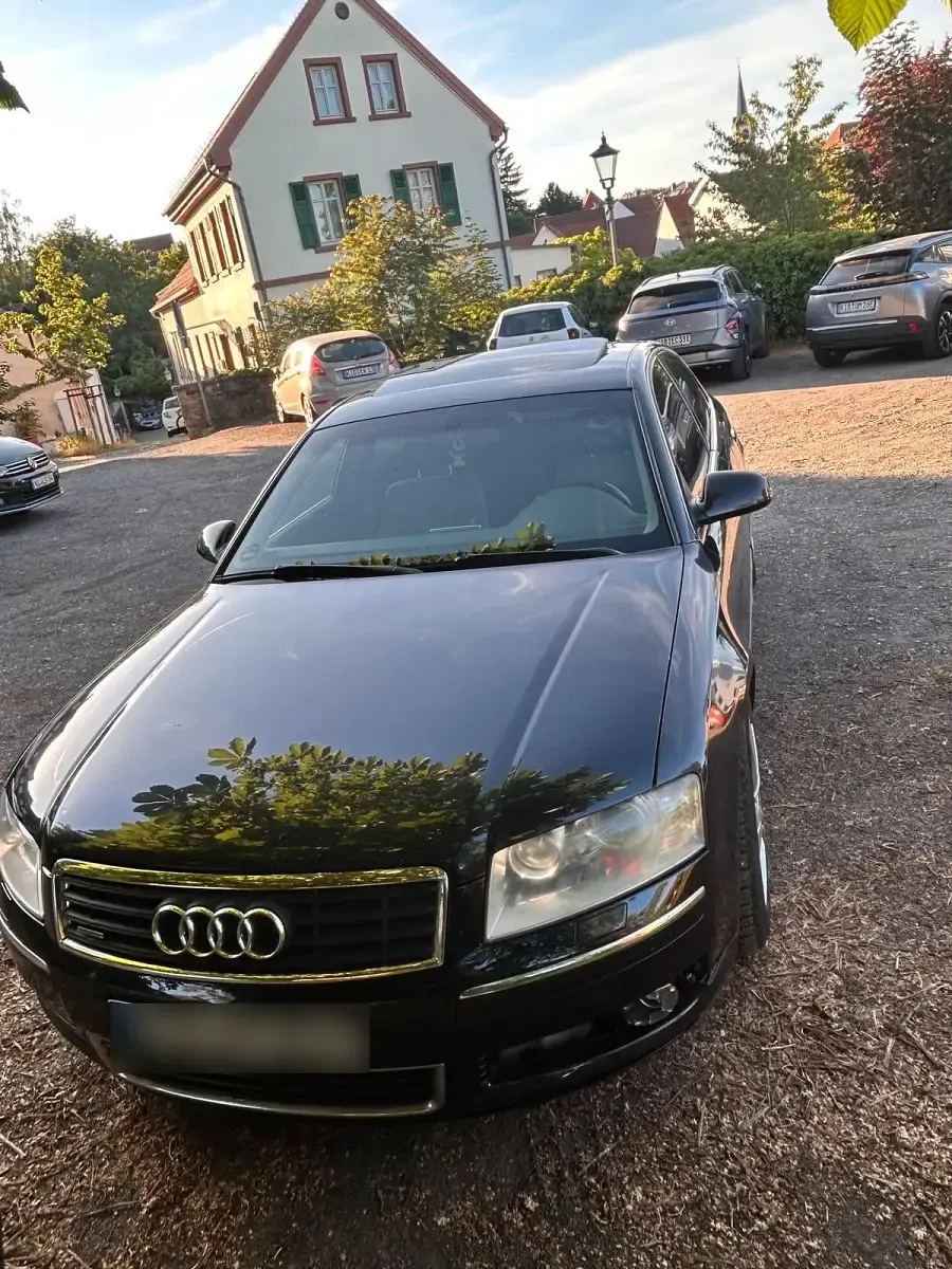 Brugt Audi A8 231 HK (169 kW) 2006 Sort Sedan