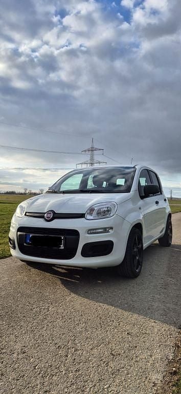Gebraucht Fiat Panda Easy 69 PS (50 kW) 2014 Weiß Kleinwagen