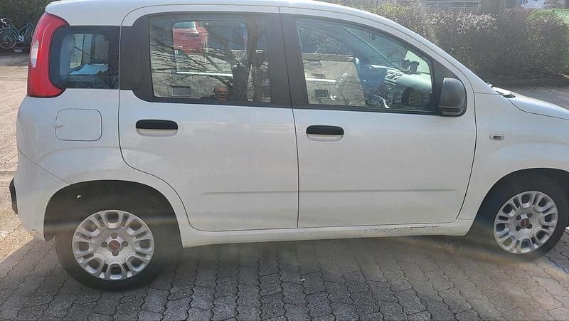 Gebraucht Fiat Panda 69 PS (50 kW) 2021 Weiß Kleinwagen