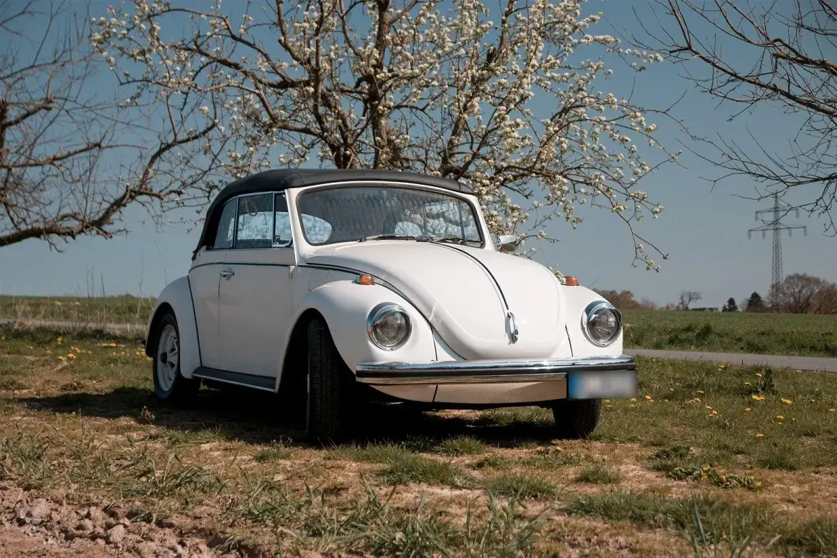 Gebraucht VW Käfer 50 PS (36 kW) 1972 Weiß Cabrio