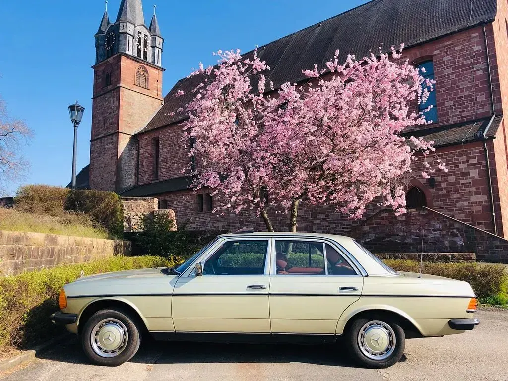 Gebraucht Mercedes E230 136 PS (100 kW) 1981 Grün Limousine