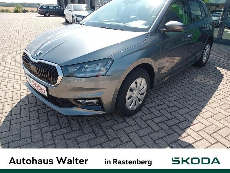 Grau Gebraucht 2024 Skoda Fabia Selection Limousine | 18.990 € (Fairer Preis) - Bild 1/4