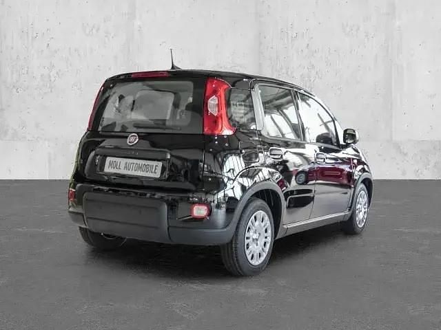 Neu Fiat Panda 69 PS (50 kW) 2025 Schwarz Kleinwagen