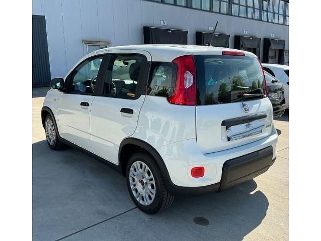 Gebraucht Fiat Panda 69 PS (50 kW) 2023 Weiss) (weiss Kleinwagen