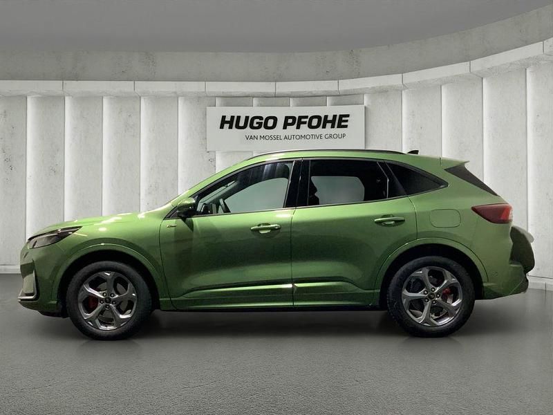 Gebraucht Ford Kuga ST-Line X 186 PS (136 kW) 2024 Bursting green SUV