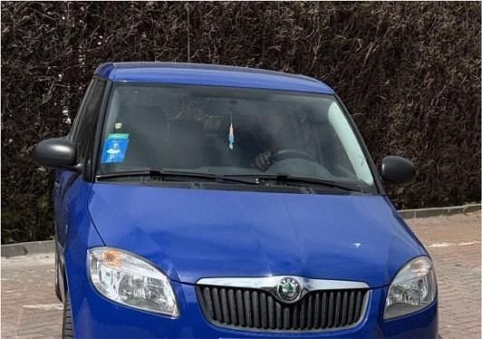 Blau Gebraucht 2009 Skoda Fabia Kleinwagen | 2.700 € (Fairer Preis) - Bild 1/2