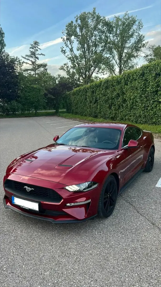 Gebraucht Ford Mustang Fastback 290 PS (213 kW) 2019 Rot Coupé