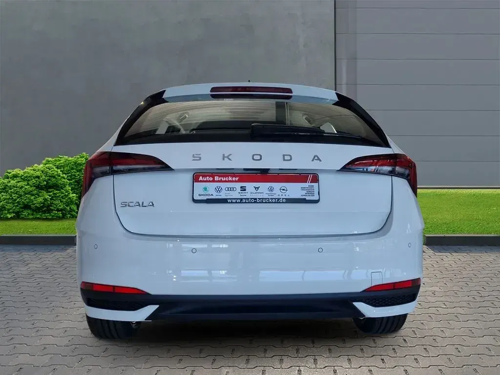 Neu Skoda Scala Selection 116 PS (85 kW) 2025 Weiss Kleinwagen