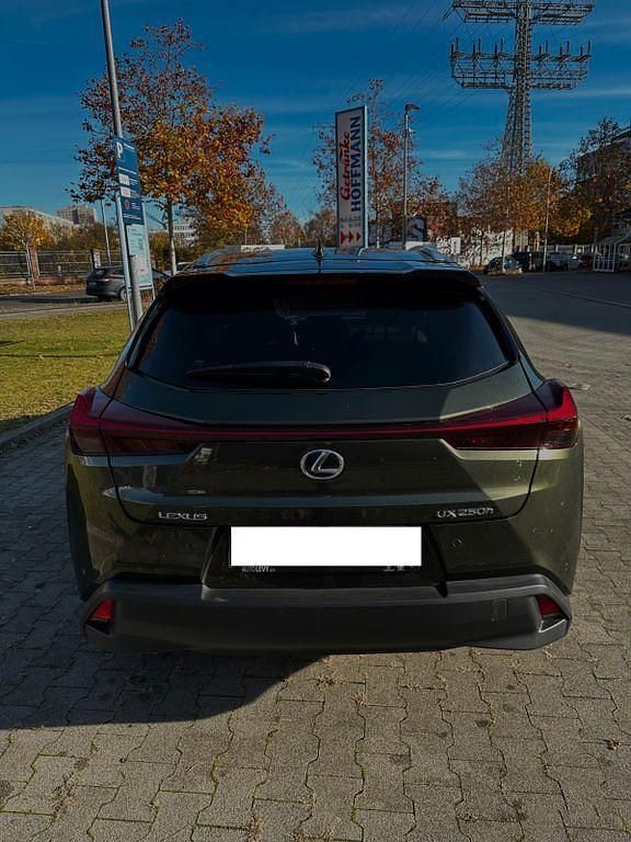 Gebraucht Lexus UX 250h 184 PS (135 kW) 2023 Grün SUV