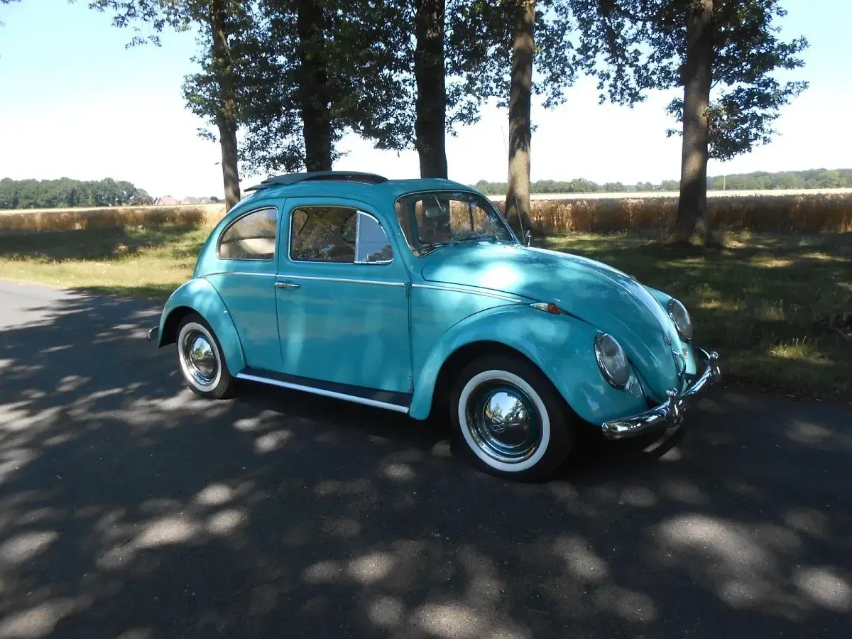Gebraucht VW Käfer 34 PS (25 kW) 1963 Grün Limousine