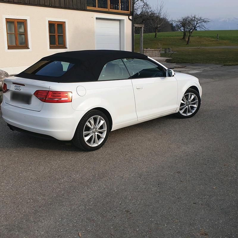 Gebraucht Audi A3 Cabriolet Ambition 160 PS (117 kW) 2011 Weiß Cabrio