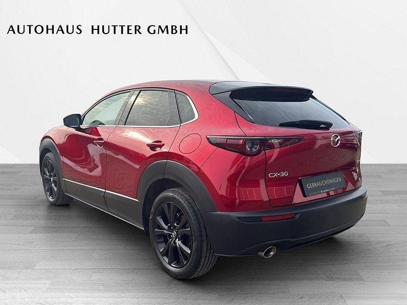 Gebraucht Mazda CX-30 Homura-Line 186 PS (136 kW) 2023 Soul red crystal SUV