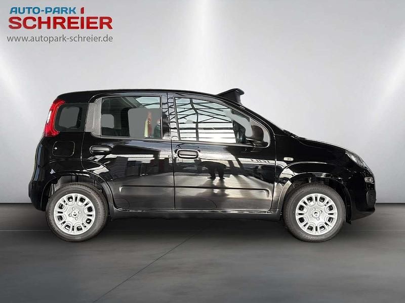 Gebraucht Fiat Panda 69 PS (50 kW) 2025 Cinema schwarz Kleinwagen
