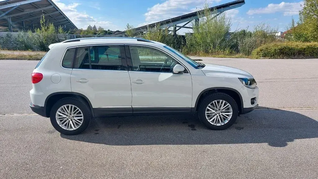 Gebraucht VW Tiguan Sportline 179 PS (131 kW) 2014 Weiß SUV