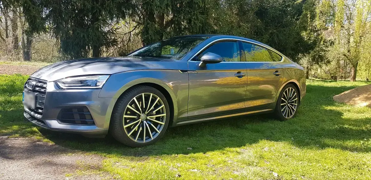 Gebraucht Audi A5 Sportback 190 PS (139 kW) 2019 Grau Kleinwagen