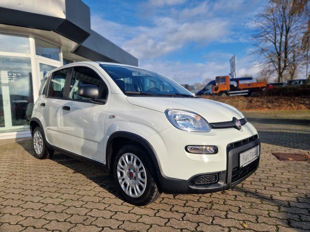 Gebraucht Fiat Panda 69 PS (50 kW) 2023 Weiß Kleinwagen