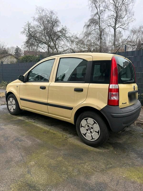 Gebraucht Fiat Panda 60 PS (44 kW) 2009 Gelb Kleinwagen