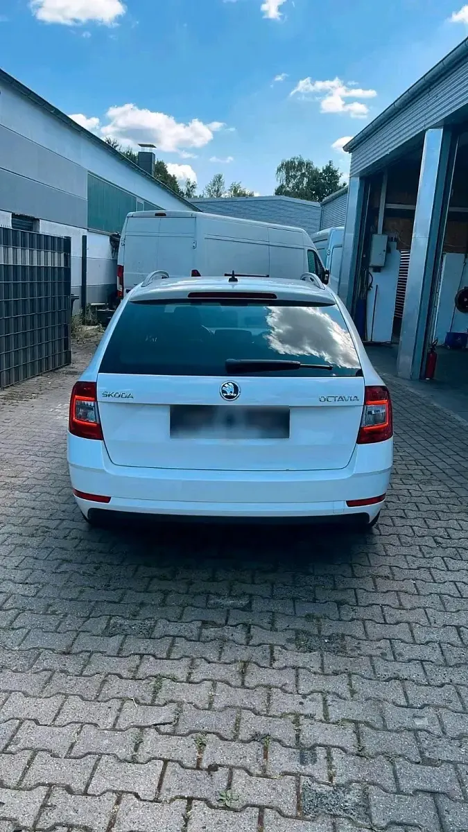 Gebraucht Skoda Octavia 116 PS (85 kW) 2019 Weiß Kombi