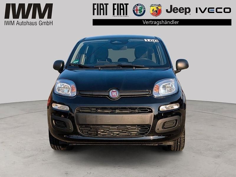 Neu Fiat Panda Icon 69 PS (50 kW) 2026 Schwarz Limousine