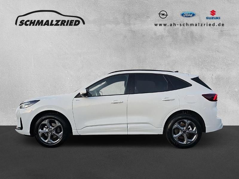 Gebraucht Ford Kuga ST-Line 186 PS (136 kW) 2026 Weiß SUV