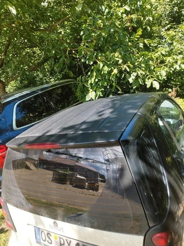 Weiß Gebraucht 2006 Smart ForTwo Coupé Coupé | 1.500 € (Superpreis) - Bild 1/4
