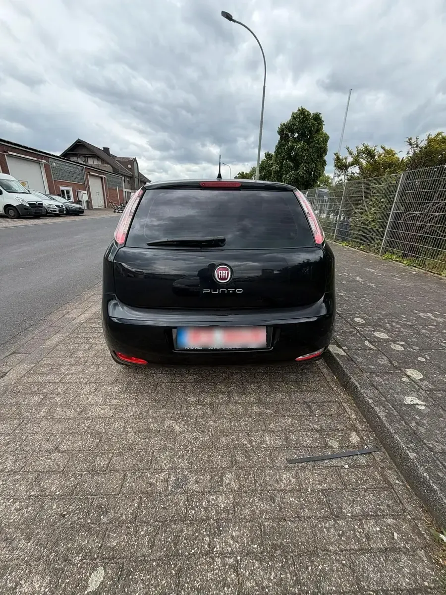 Usata Fiat Punto 74 CV (54 kW) 2014 Nero Utilitaria