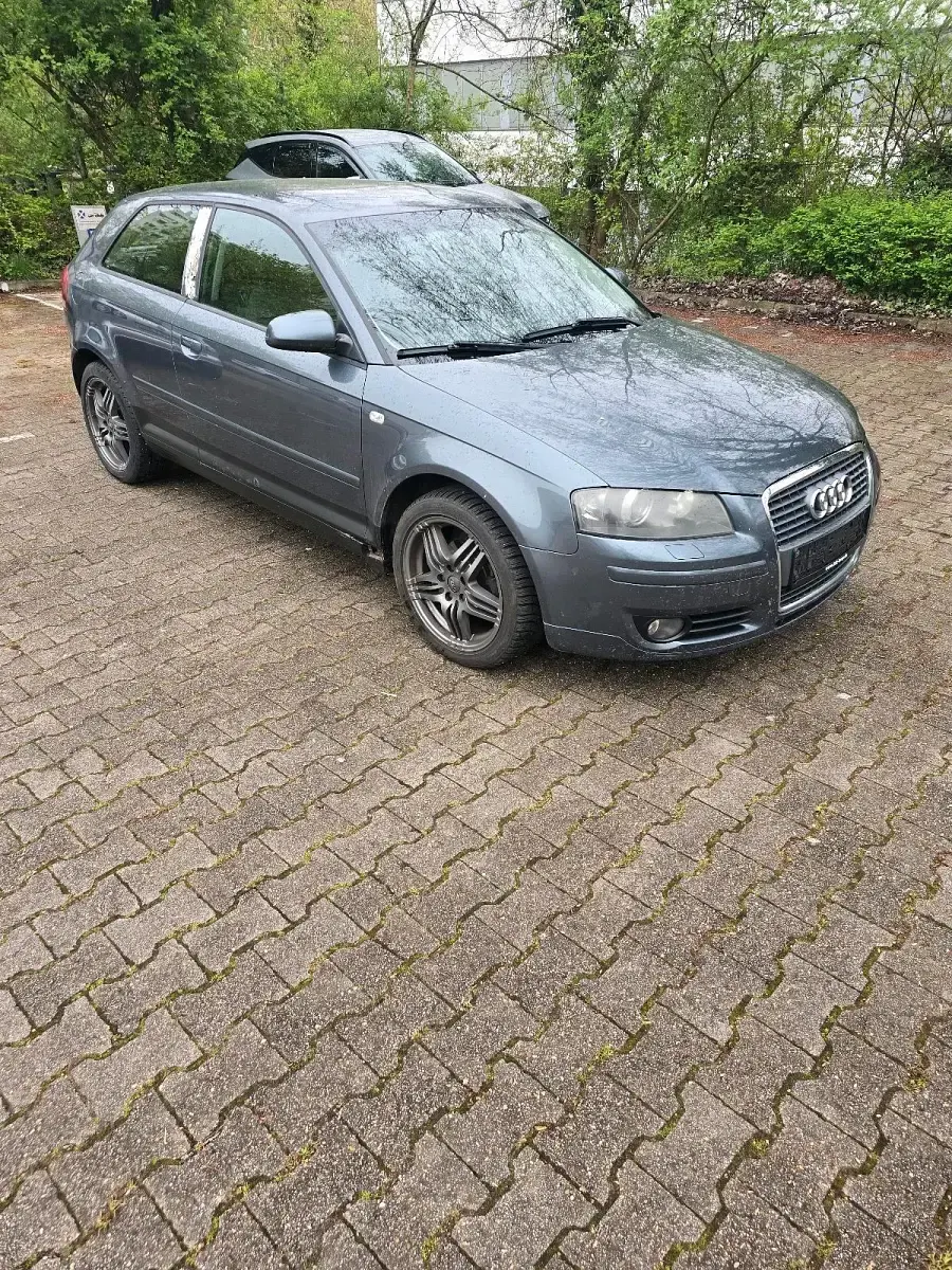 Usata Audi A3 105 CV (77 kW) 2006 Grigio Utilitaria
