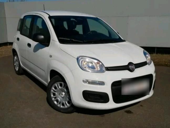 Gebraucht Fiat Panda 70 PS (51 kW) 2021 Weiß Kleinwagen